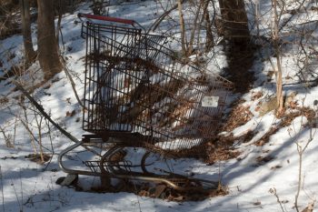 Shopping Cart