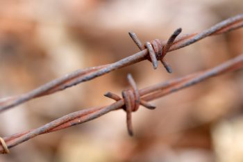 Barbed Wire