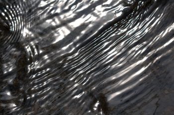 Ripples