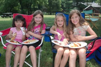 Picnic Lunch