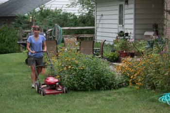 Mowing the Lawn