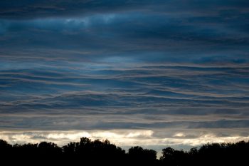 Blue Sunset