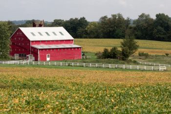 Spring's Farm