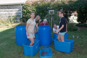 Pressing Grapes