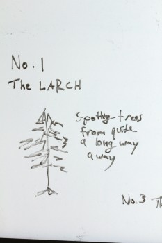 No. 1, The Larch