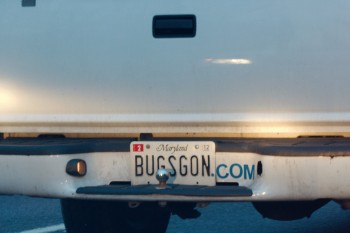 BUGSGON