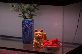 Lucky Cat