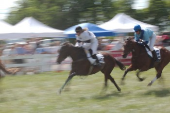 Potomac Hunt Races