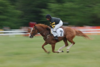 Potomac Hunt Races