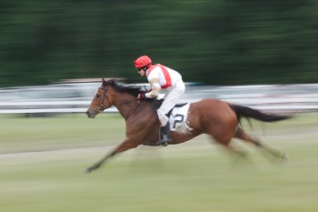 Potomac Hunt Races