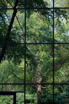 Office Reflections