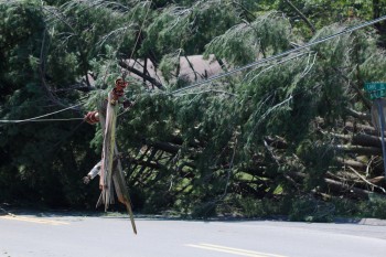 Downed Power Lines