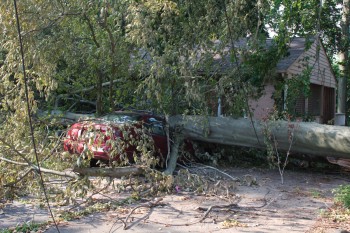 Crushed Car, Close Call