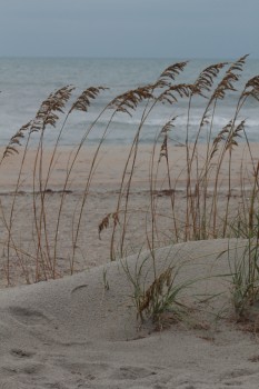 Ocean Isle Beach