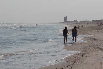 Looking For Shells