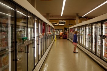 The Frozen Food Aisle