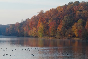 Lake Needwood