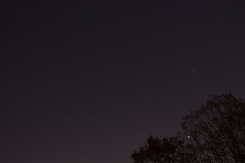 Night Sky