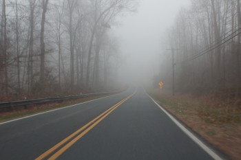 Foggy Morning