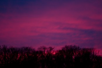 Magenta Sunset