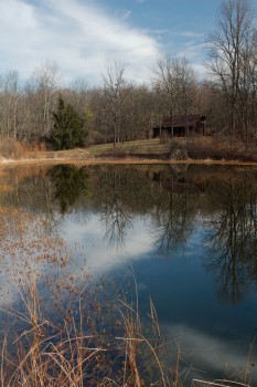 The Cabin and Pond