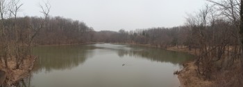 Wintery Lake Needwood