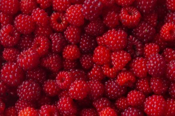 Wild Raspberries