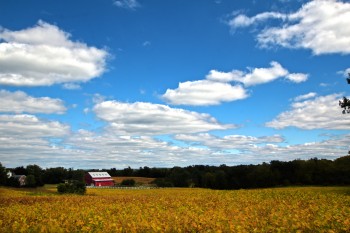 The Springs Farm