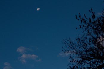 Moon After Sunrise