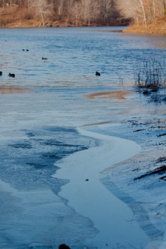 Lake Bernard Frank