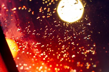 Tail Lights and Rain