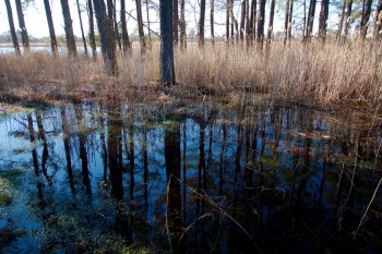 Chesapeake Bay Environmental Center