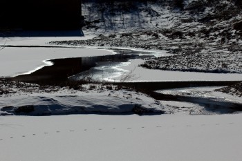 Frozen Pond