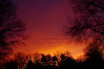 Winter Sunrise