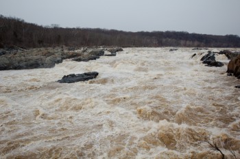 Great Falls of the Potomac