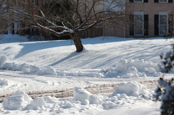 Snow On The Ground