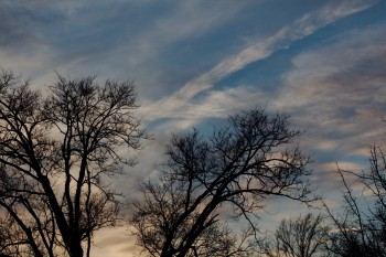 Evening Sky