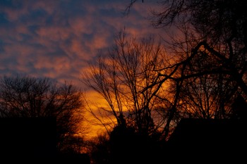 Sunset From Our Back Yard