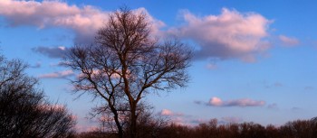 Pretty Evening Sky