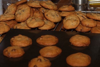 Chocolate Chip Cookies