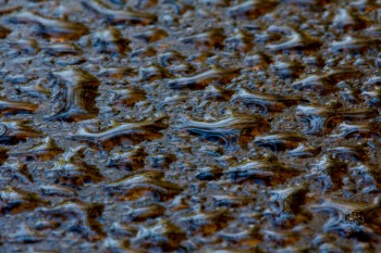 Dew Droplets on Glass Table