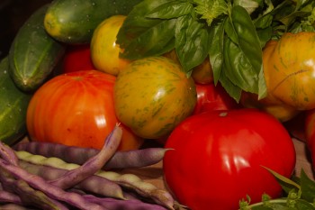 Cucumbers, Tomatoes, Beans, and Basil