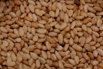 Sesame Seeds