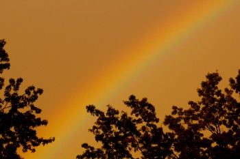 Rainbow at Dusk