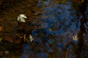 Clear Water