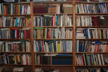 Basement Bookshelves