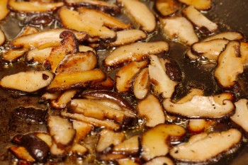 <em>Lentinula edodes</em> (Shiitake Mushrooms)