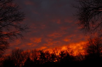 Winter Sunrise