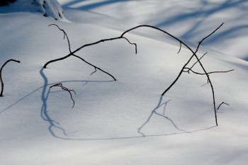 Sculpture In The Snow