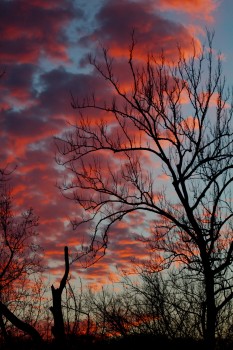 Sunset One, Looking Up